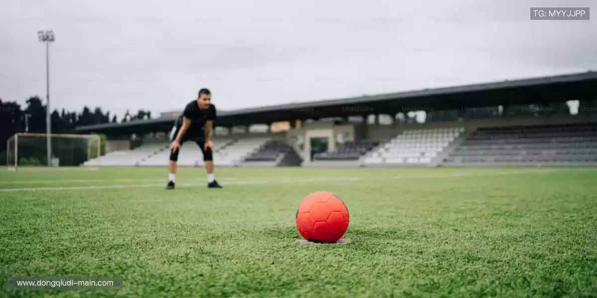 运动不止,装备先行!👟🔧 体育周边,细节决定胜负!